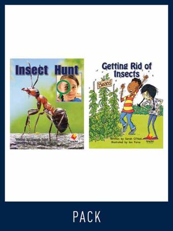 Flying Start Guided Reading Pack Level 11, Pack 1 book cover