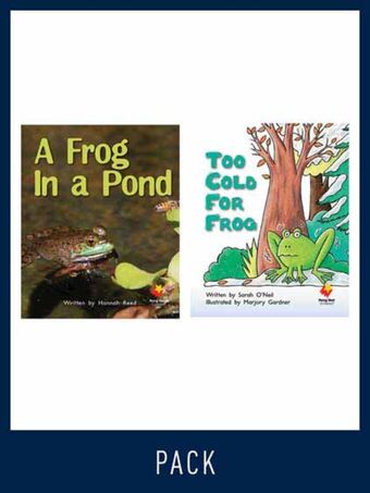 Flying Start Guided Reading Pack Level 11, Pack 2 book cover