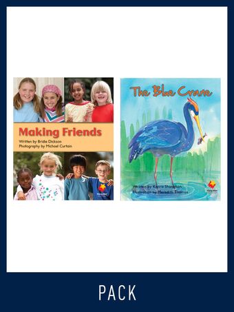 Flying Start Guided Reading Pack Level 12, Pack 5 book cover