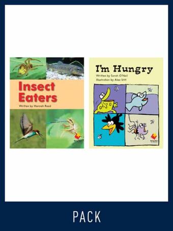 Flying Start Guided Reading Pack Level 13, Pack 3 book cover