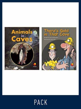 Flying Start Guided Reading Pack Level 13, Pack 4 book cover
