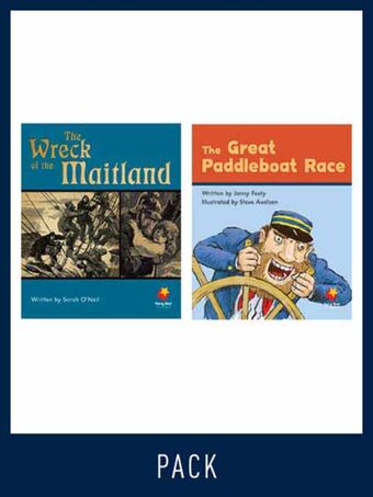 Flying Start Guided Reading Pack Level 13, Pack 5 book cover