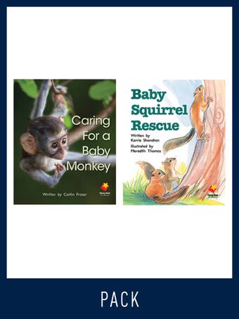 Flying Start Guided Reading Pack Level 13, Pack 2 book cover