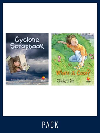 Flying Start Guided Reading Pack Level 14, Pack 1 book cover