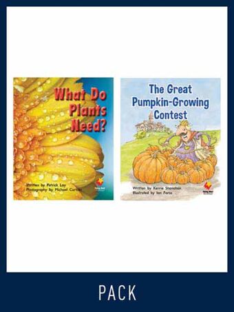Flying Start Guided Reading Pack Level 14, Pack 2 book cover