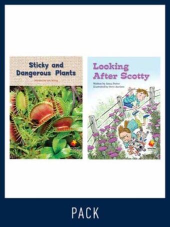 Flying Start Guided Reading Level 15, Pack 4 book cover