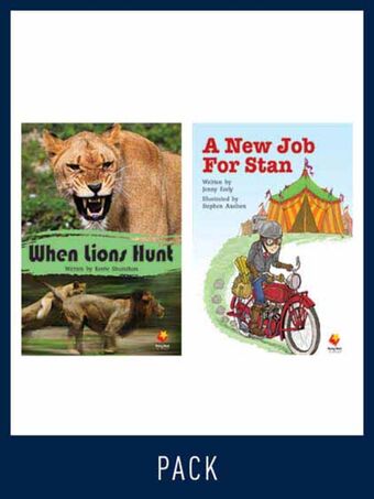 Flying Start Guided Reading Level 15, Pack 2 book cover