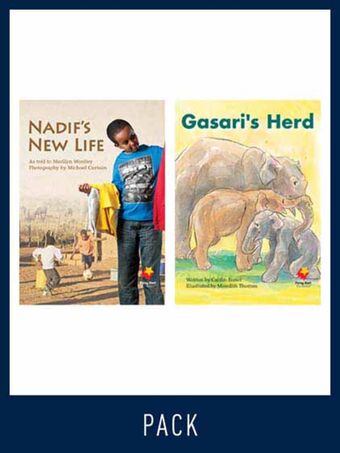 Flying Start Guided Reading Level 16, Pack 4 book cover