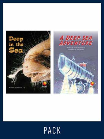Flying Start Guided Reading Level 17, Pack 5 book cover