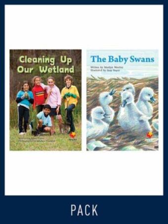 Flying Start Guided Reading Level 18, Pack 3 book cover