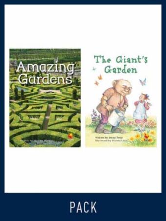 Flying Start Guided Reading Level 19, Pack 3 book cover