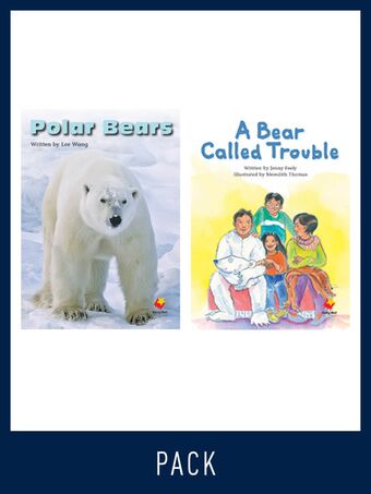Flying Start Guided Reading Level 19, Pack 4 book cover