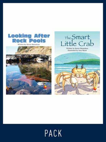Flying Start Guided Reading Level 20, Pack 3 book cover