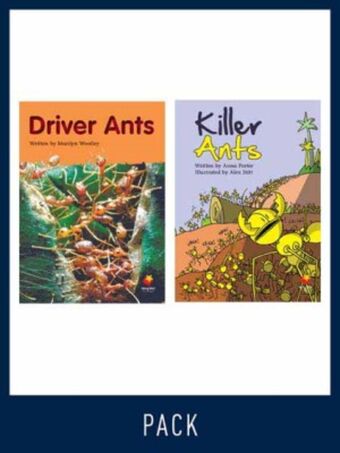 Flying Start Guided Reading Level 20, Pack 4 book cover