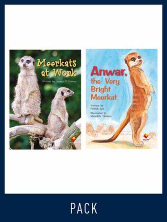 Flying Start Guided Reading Level 21, Pack 1 book cover