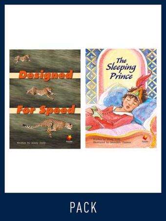Flying Start Guided Reading Level 22, Pack 2 book cover