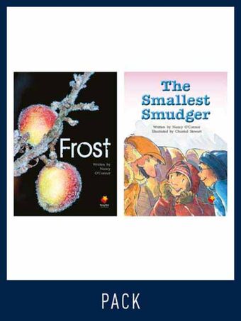 Flying Start Guided Reading Level 24, Pack 2 book cover