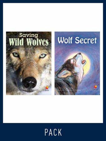 Flying Start Guided Reading Level 26, Pack 2 book cover