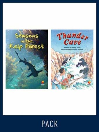 Flying Start Guided Reading Level 28, Pack 2 book cover
