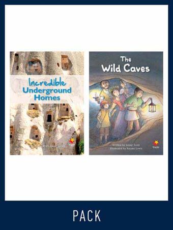 Flying Start Guided Reading Level 29, Pack 1 book cover