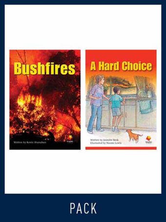 Flying Start Guided Reading Level 29, Pack 2 book cover