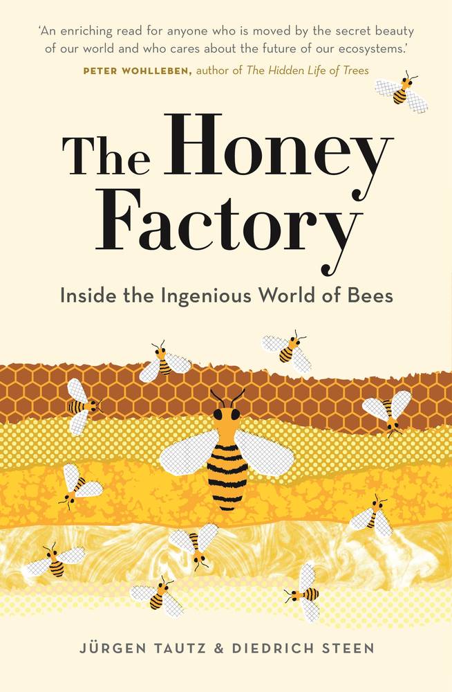 The Honey Factory: Inside the Ingenious World of Bees book cover