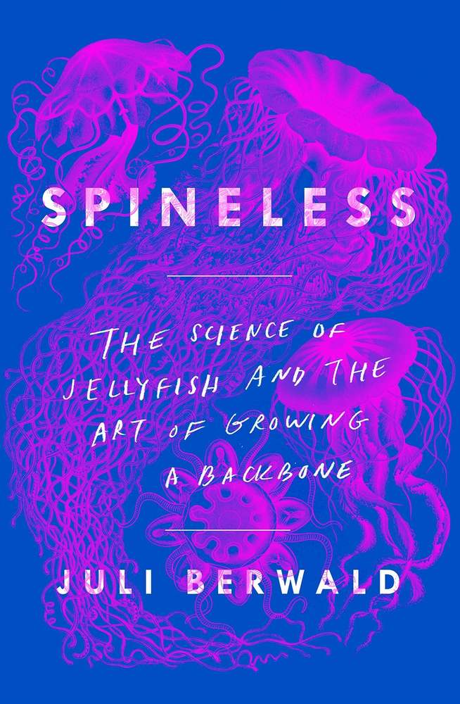 Spineless: The Science of Jellyfish and the Art of Growing a Backbone book cover