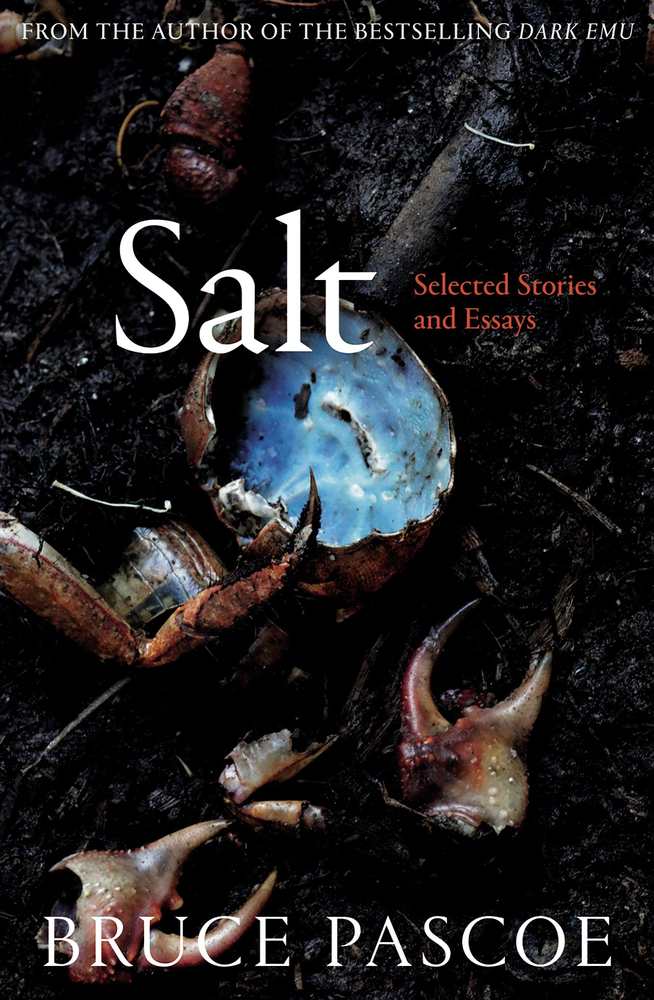 Salt book cover