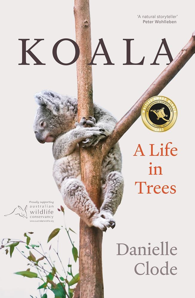 Koala book cover
