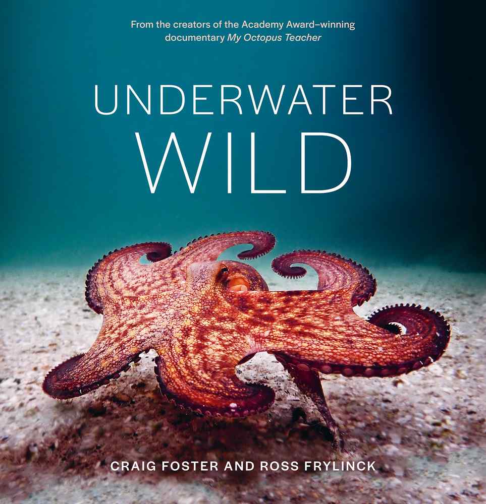 Underwater Wild book cover