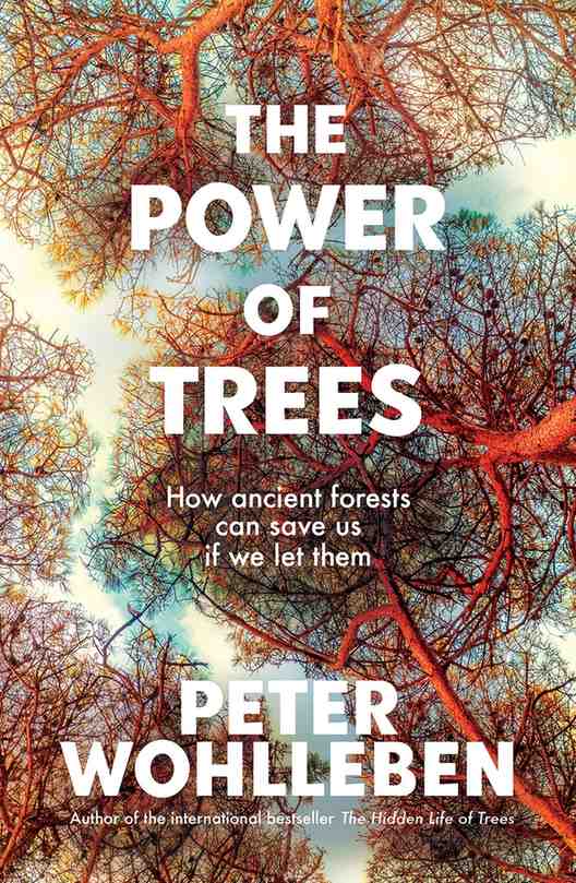 The Power of Trees book cover