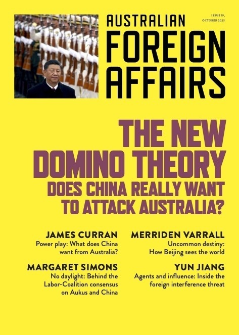 The New Domino Theory book cover