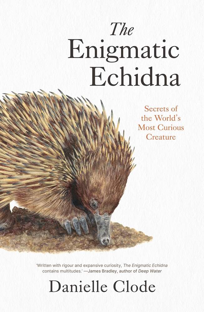 The Enigmatic Echidna book cover