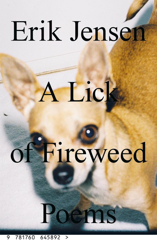 A lick of fireweed book cover