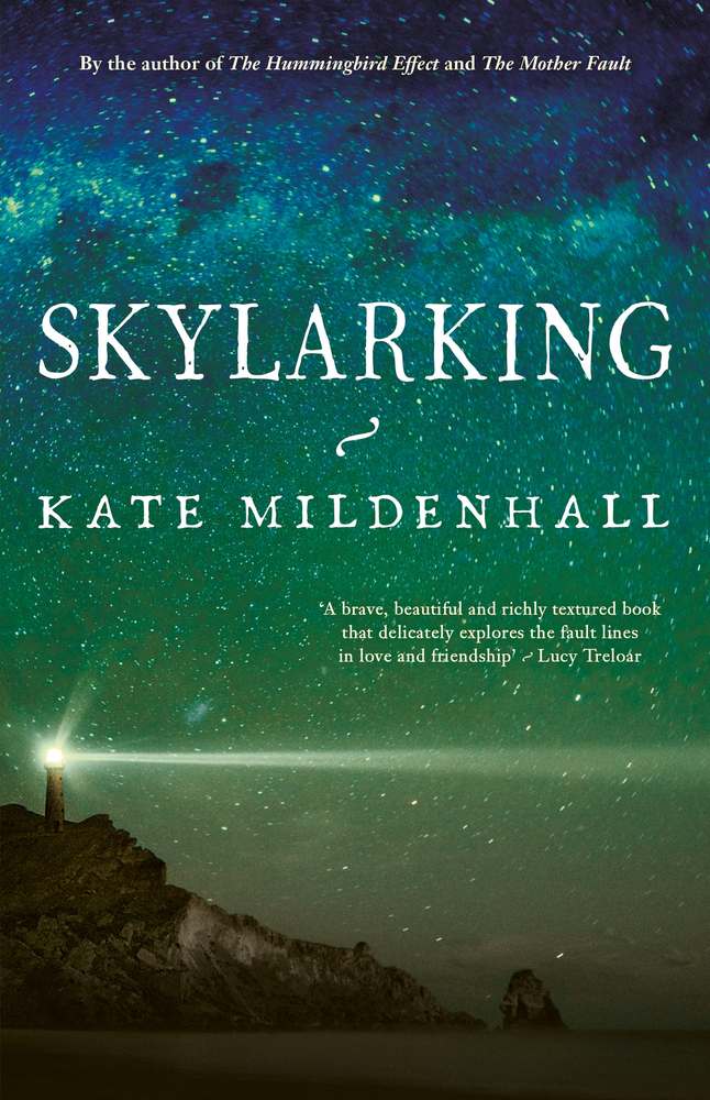 Skylarking book cover