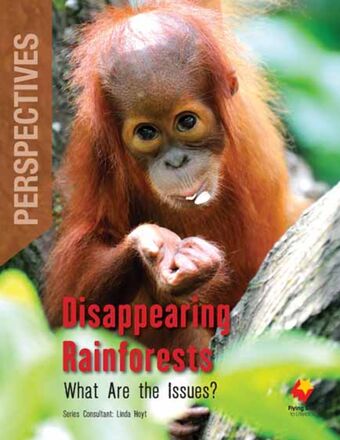 Disappearing Rainforests: What Are the Issues? book cover