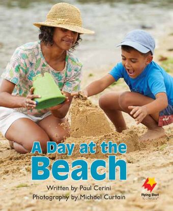 A Day at the Beach book cover