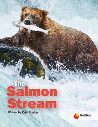 The Salmon Stream book cover