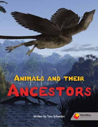 Animals and Their Ancestors book cover