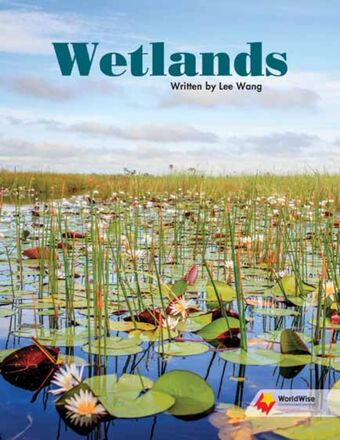Wetlands book cover