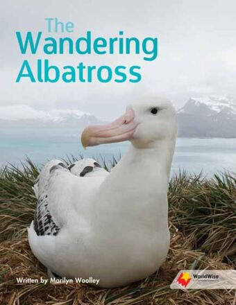 The Wandering Albatross book cover