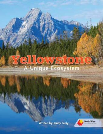Yellowstone: A Unique Ecosystem book cover