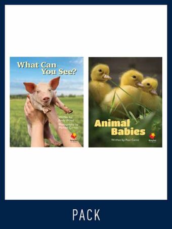 Flying Start Guided Reading Level 1, Pack 2 book cover