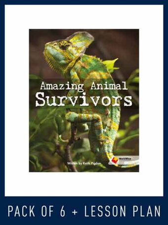 WorldWise Guided Reading Pack Level Q, Pack 1 book cover