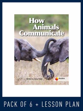 WorldWise Guided Reading Pack Level S, Pack 5 book cover
