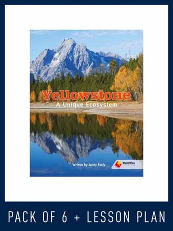 WorldWise Guided Reading Pack Level U, Pack 3 book cover