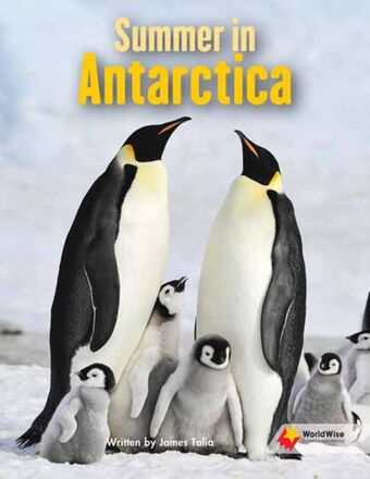 Summer in Antarctica book cover