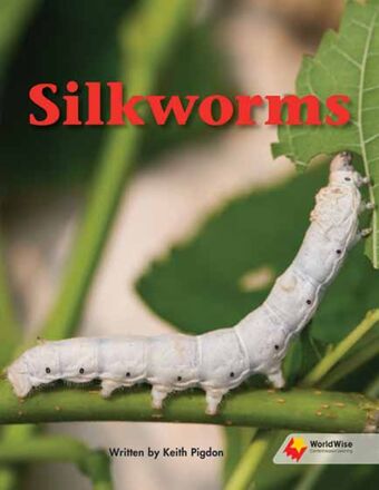 Silkworms book cover