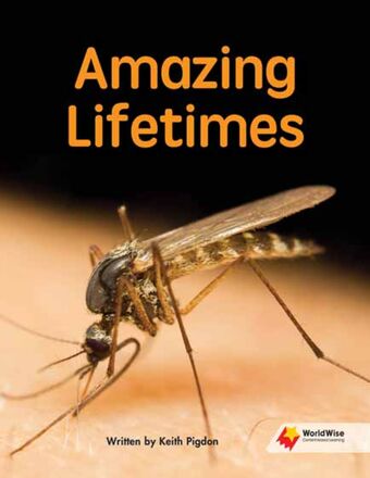 Amazing Lifetimes book cover