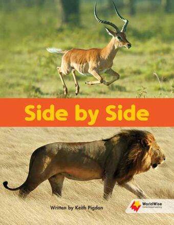 Side By Side book cover